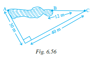 Page 185 Chapter 6 Class 7th NCERT Exemplar Page 185 Chapter 6 Class 7th NCERT Exemplar